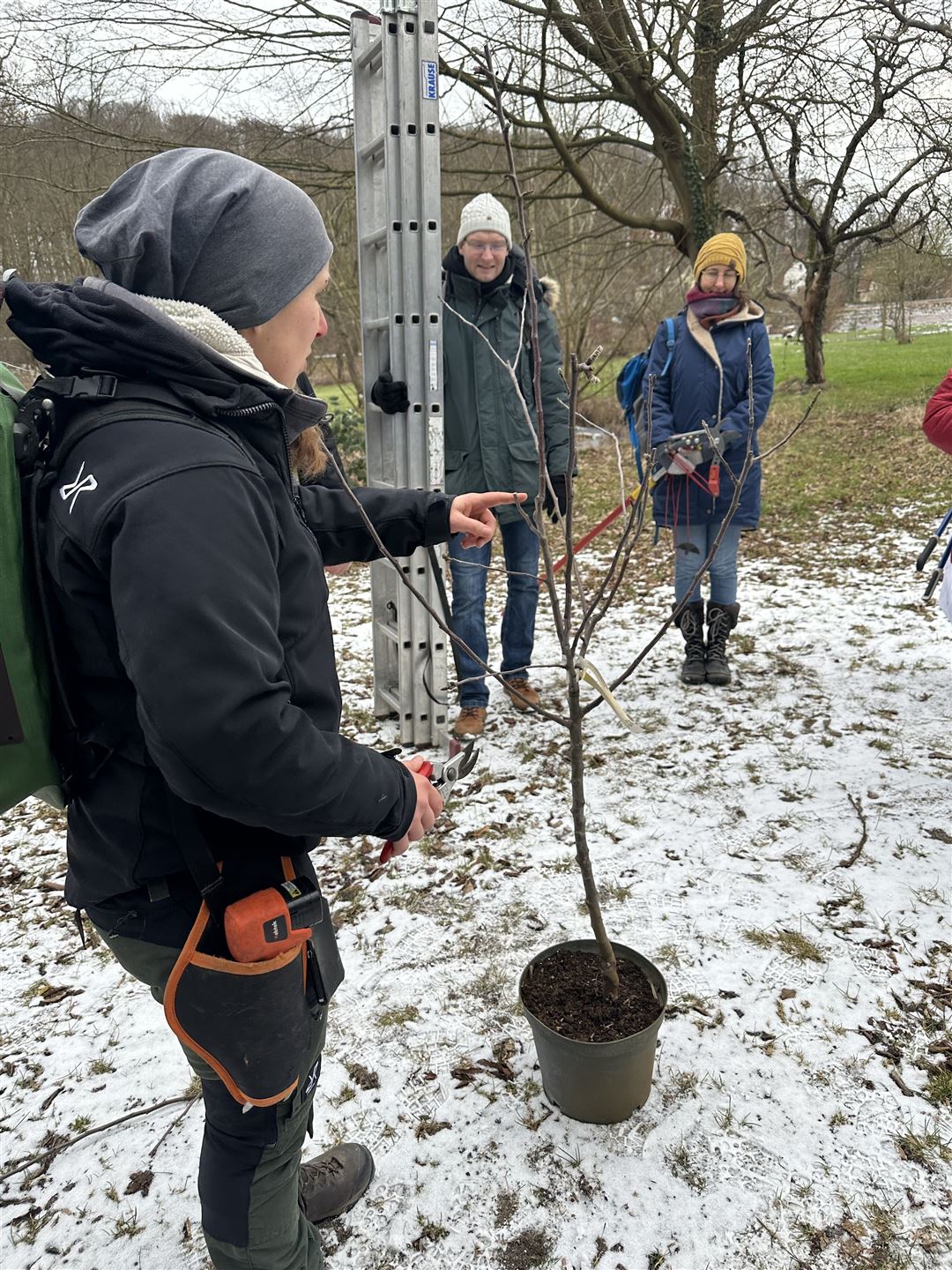 Claudia Kr&ouml;pelin - Obstbaumschnitt
