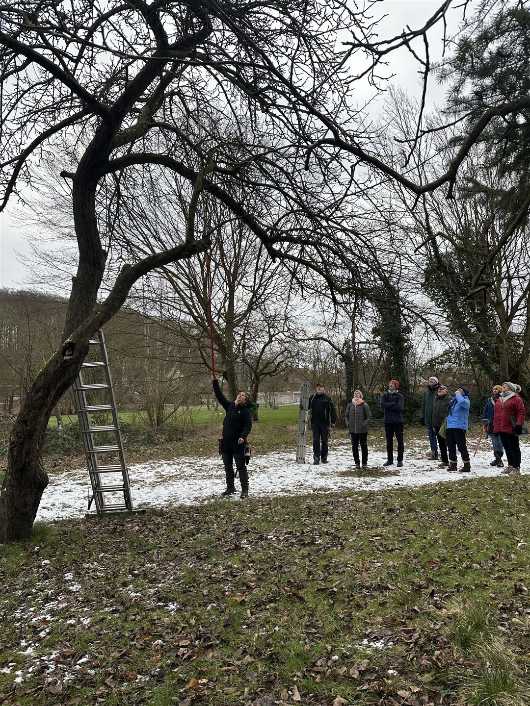 Claudia Kr&ouml;pelin - Obstbaumschnitt