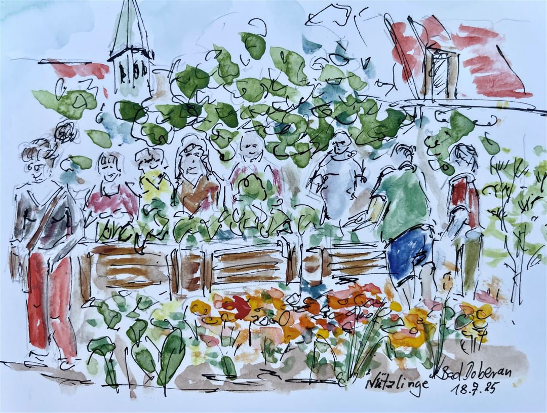 Veranstaltung N&uuml;tzlinge am 18.07.25