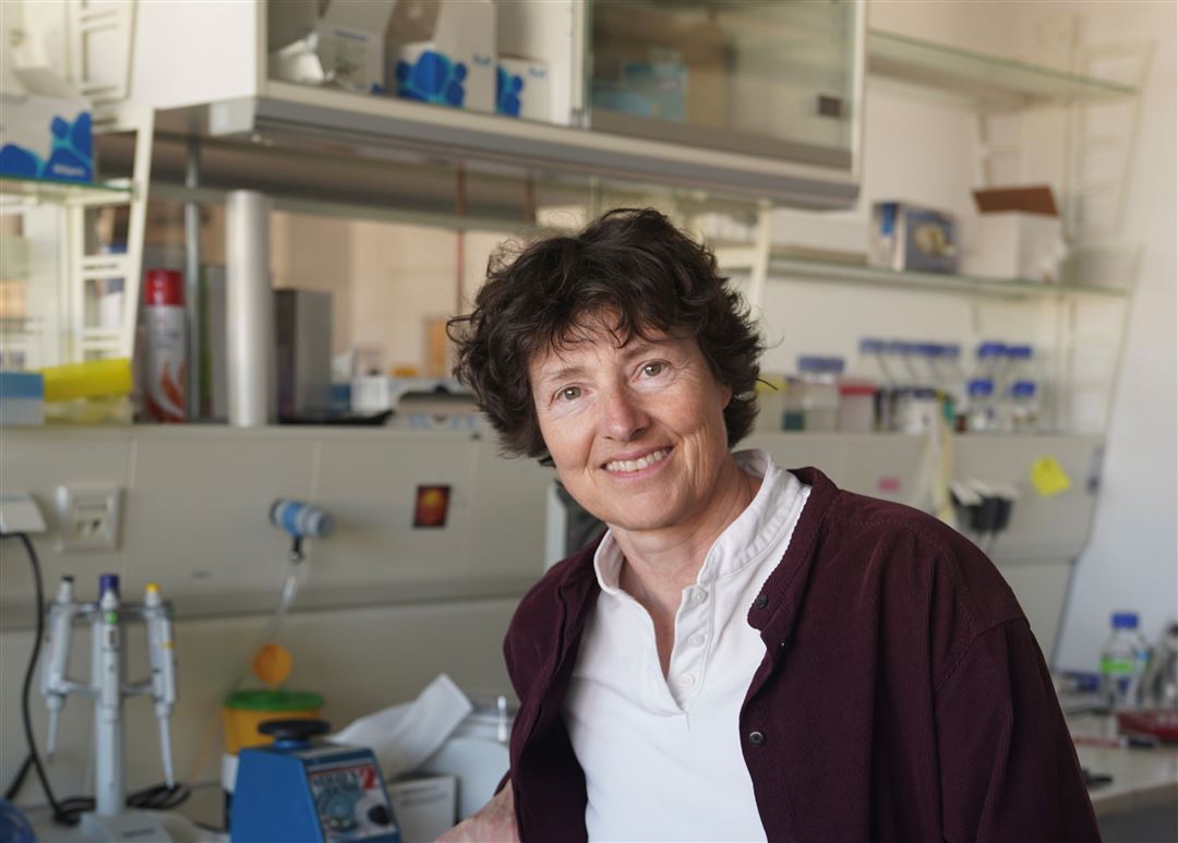 Prof. Dr,. Petra Schwille